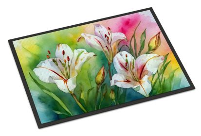 NEW Utah Sego Lilies in Watercolor Doormat Front Door Mat Indoor Outdoor Rugs for Entryway, Non Slip Washable Low Pile, 18H X 27W
